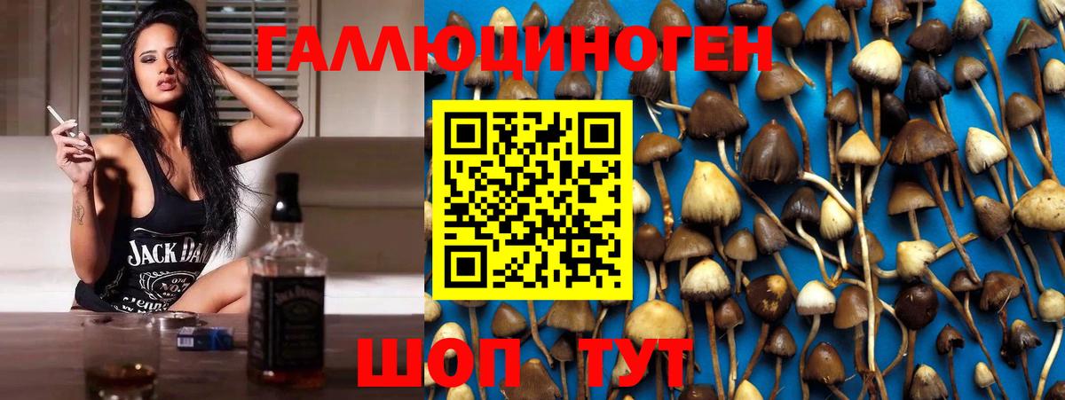 купить   Псилоцибиновые грибы ЛСД  Уварово  Вход с VPN  Галлюциногенные грибы GOLDEN TEACHER 